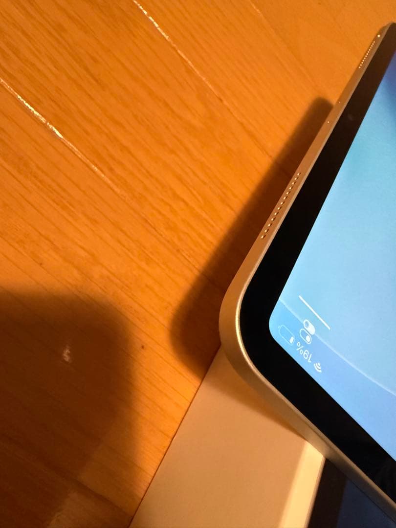 iPad Pro (11インチ) 第2世代 256GB