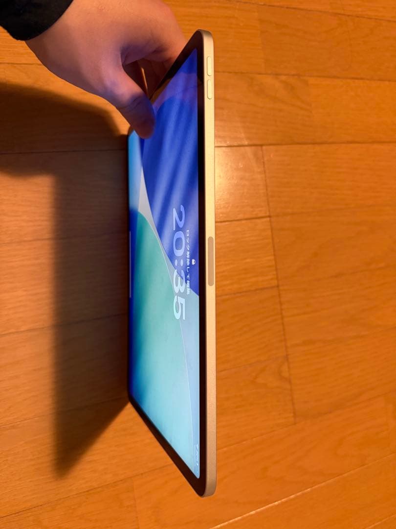 iPad Pro (11インチ) 第2世代 256GB