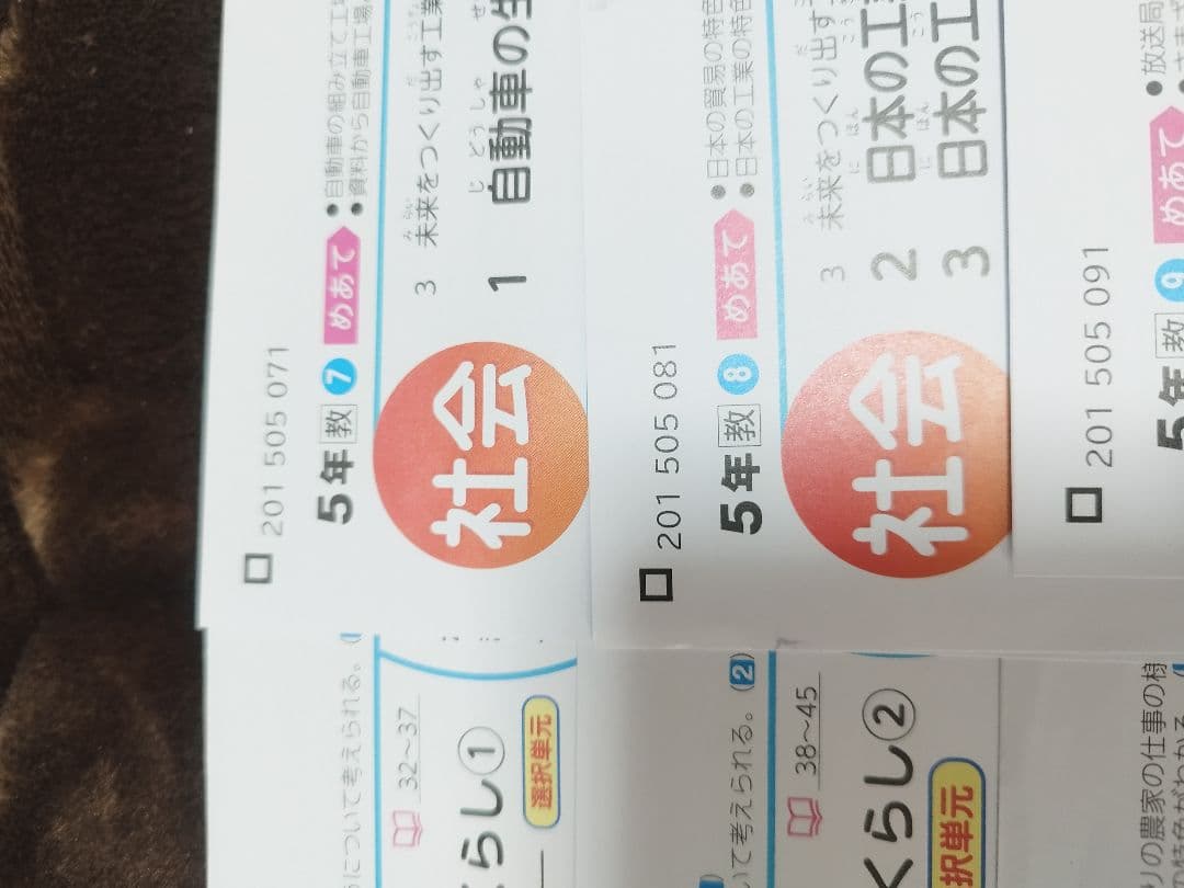 タイムセール【最新版】カラーテスト　写真　５年生