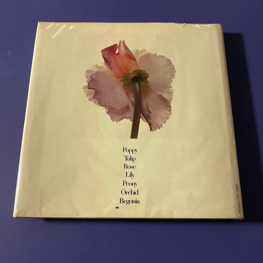 Noope商品　アーヴィング・ペン　FLOWERS