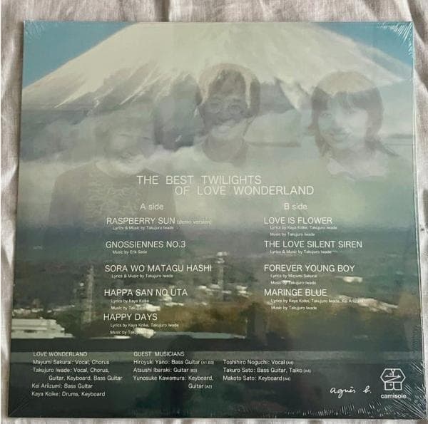 邦楽 Love Wonderland - The Best Twilights LP