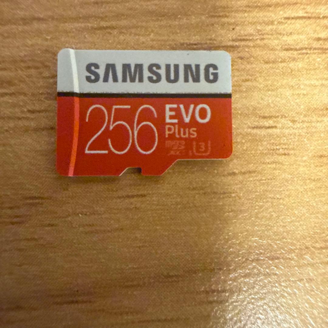 任天堂スイッチ　MicroSDカード256GB付き　箱無し