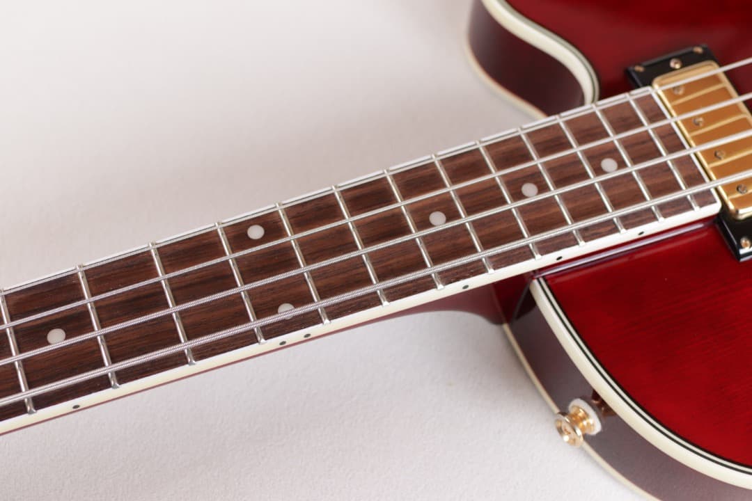 【丁子屋】Epiphone Allen Woody Bass