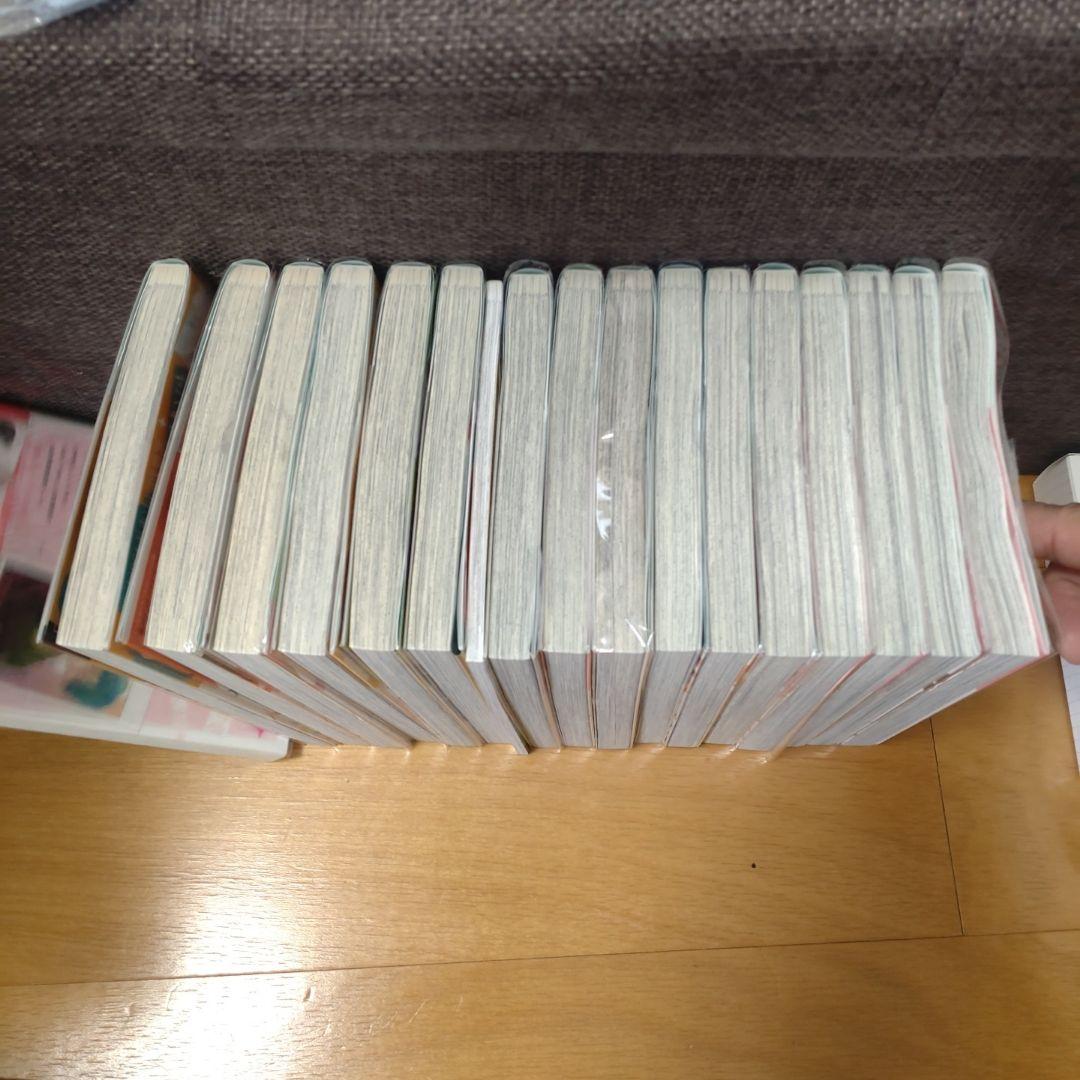 顔だけじゃ好きになりません全17巻セット