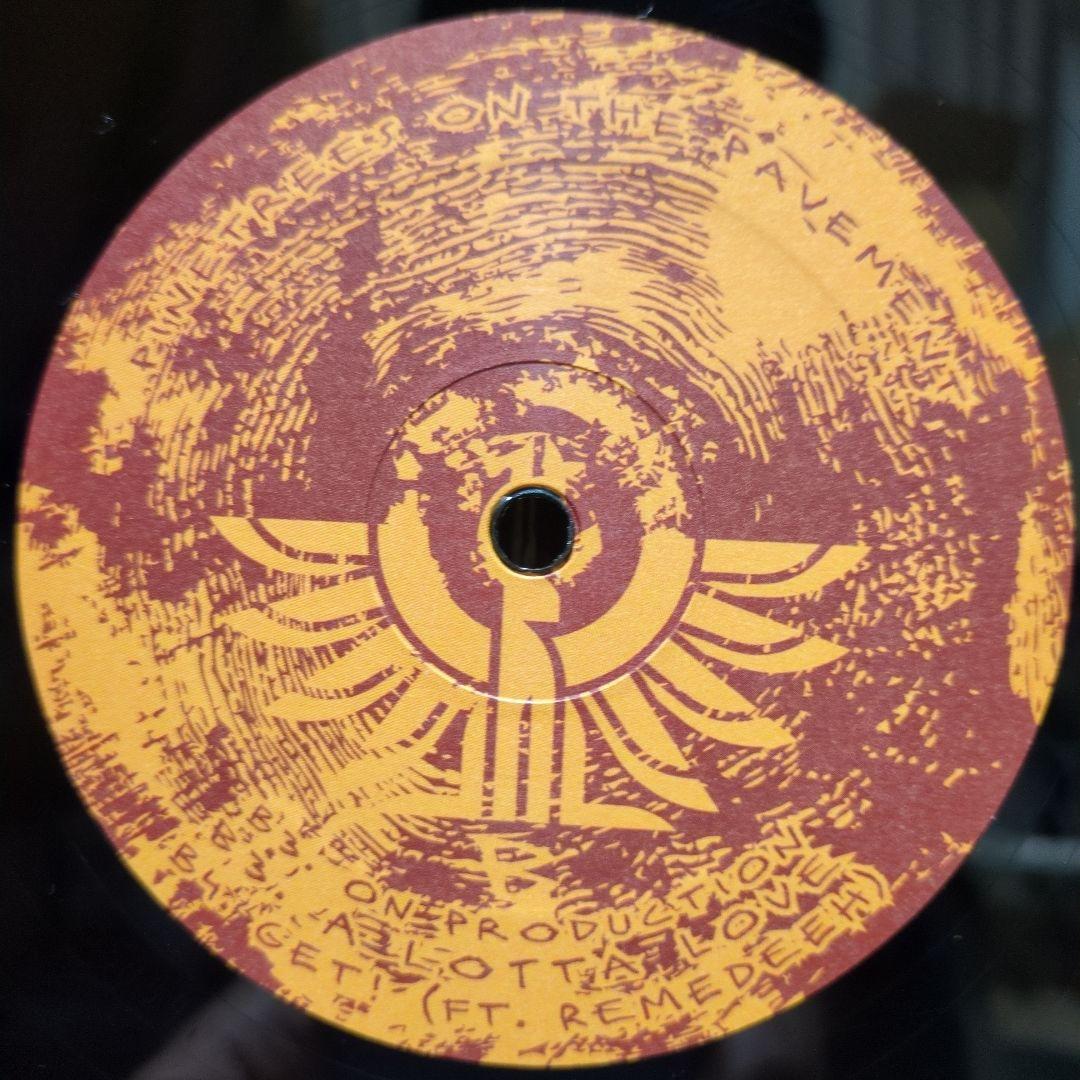 洋楽 Supersci/ Pinetrees on the Pavement/ 2LP