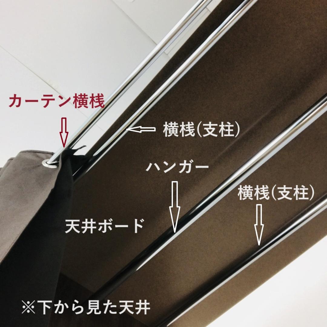 カメ吉