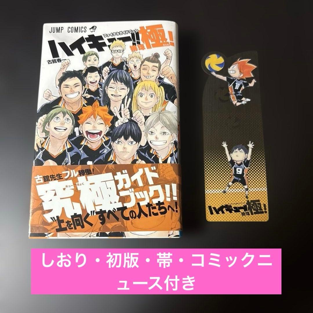 【美品】ハイキュー!!全巻セット全45巻+排球極!(ガイドブック) 古舘春一