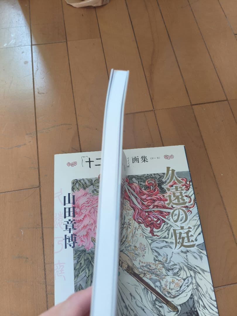十二国記 画集2冊　ガイドブック1冊