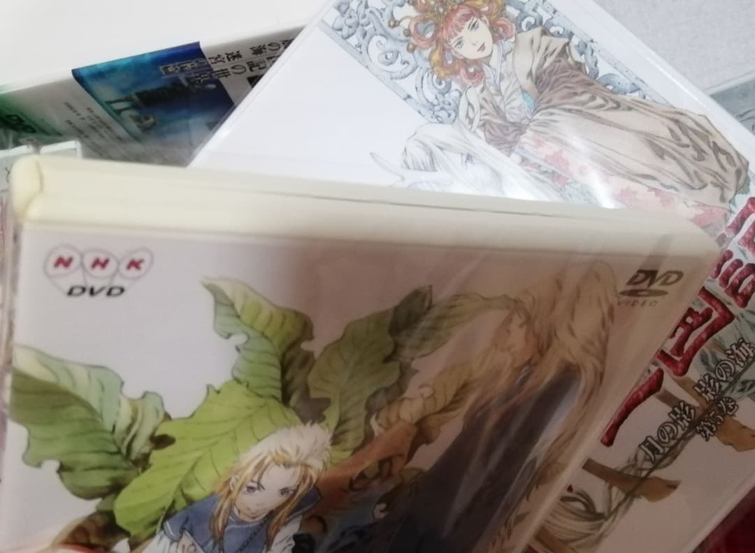十二国記 DVD 19巻