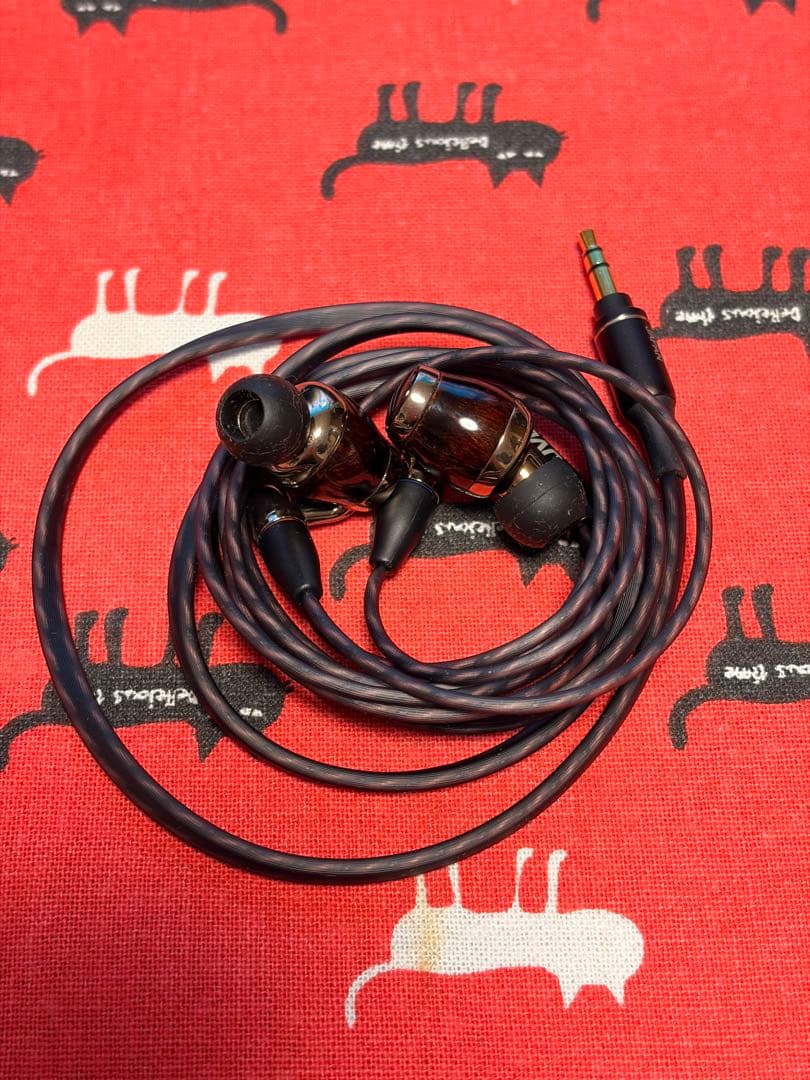 美品 Victor JVC HA-FW10000 有線イヤホン