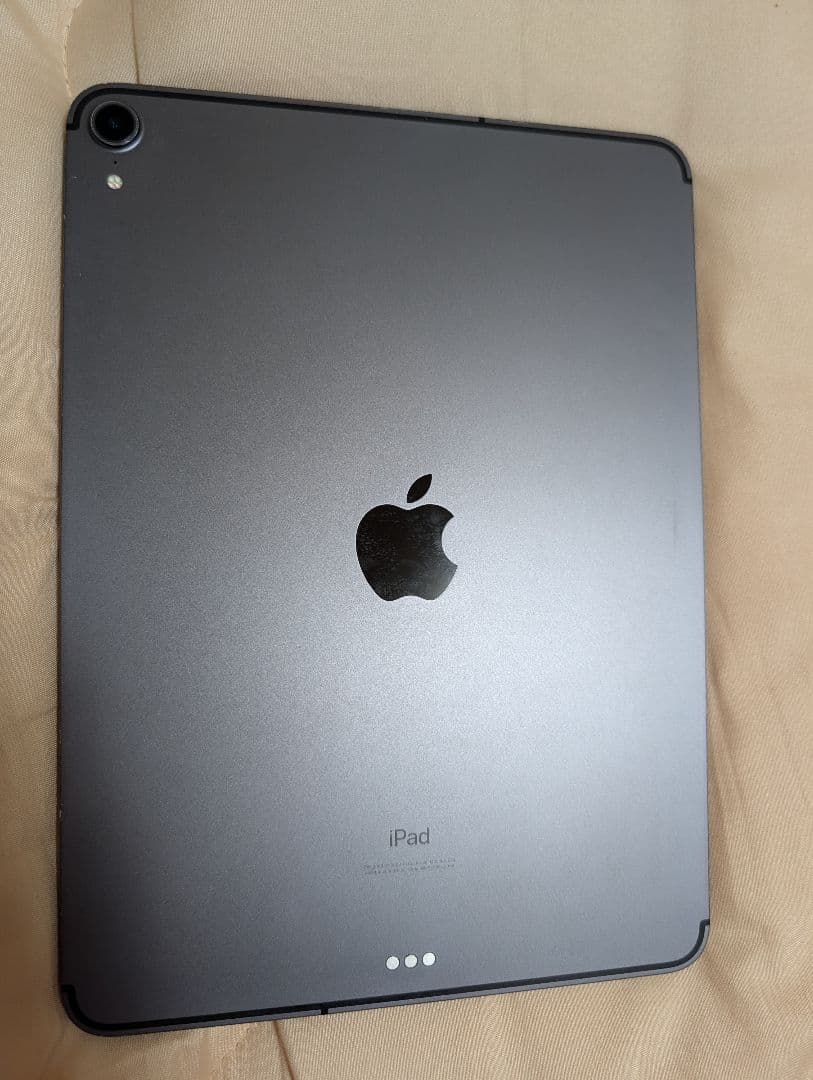 Apple iPad Pro11インチ第1世代 SIMフリー256GBグレー