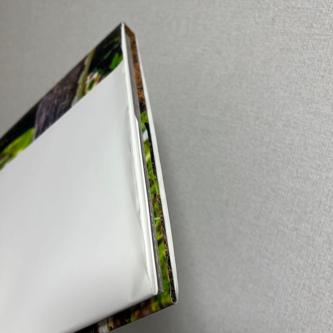 HEROES Nagi Yoshida サイン入り
