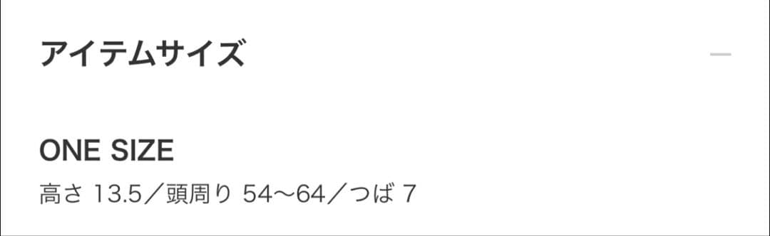 【新品未使用】 ビームス 別注 ラルフローレン キャップ 25SS ネイビー
