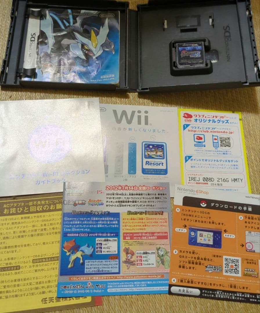 【値下げ！】【色違い！GETあり】ポケットモンスター　ブラック2