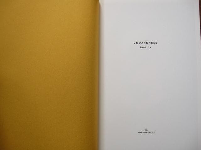 UNDARKNESS　junaida　ジュナイダ　画集