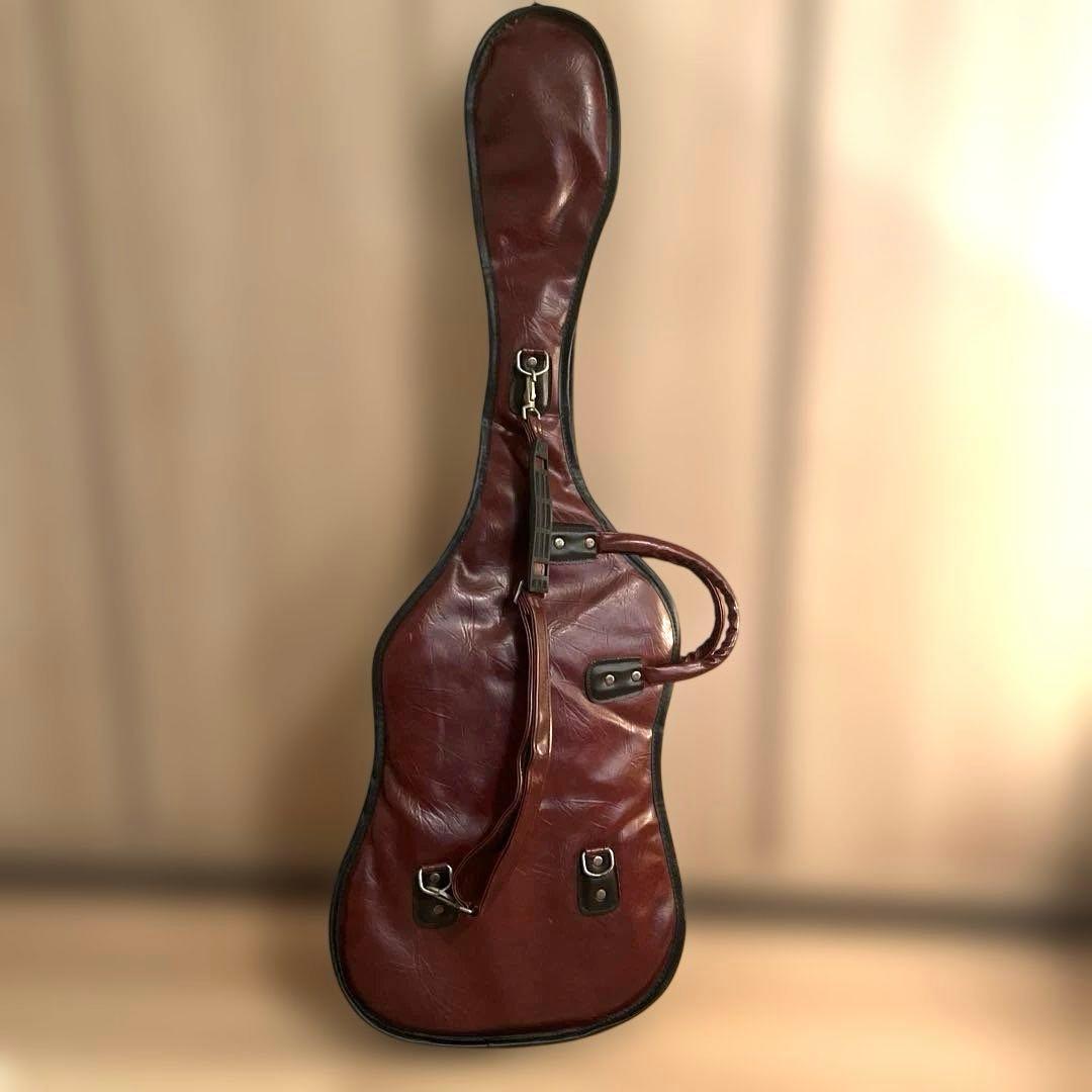 Tokai Custom Edition ロック式 STタイプ ケース付