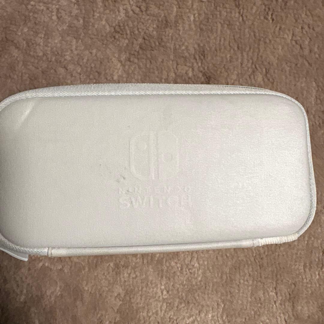 Nintendo Switch Lite グレー　ケース付き