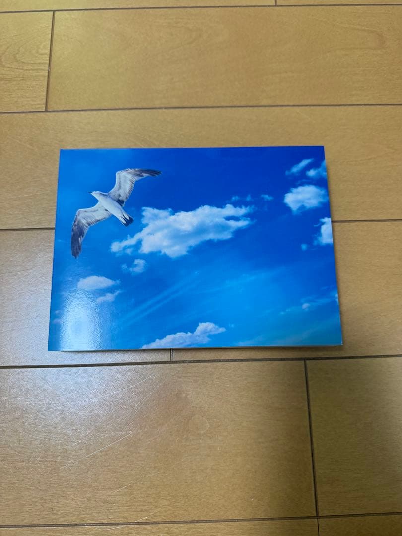 メンズ校 DVD