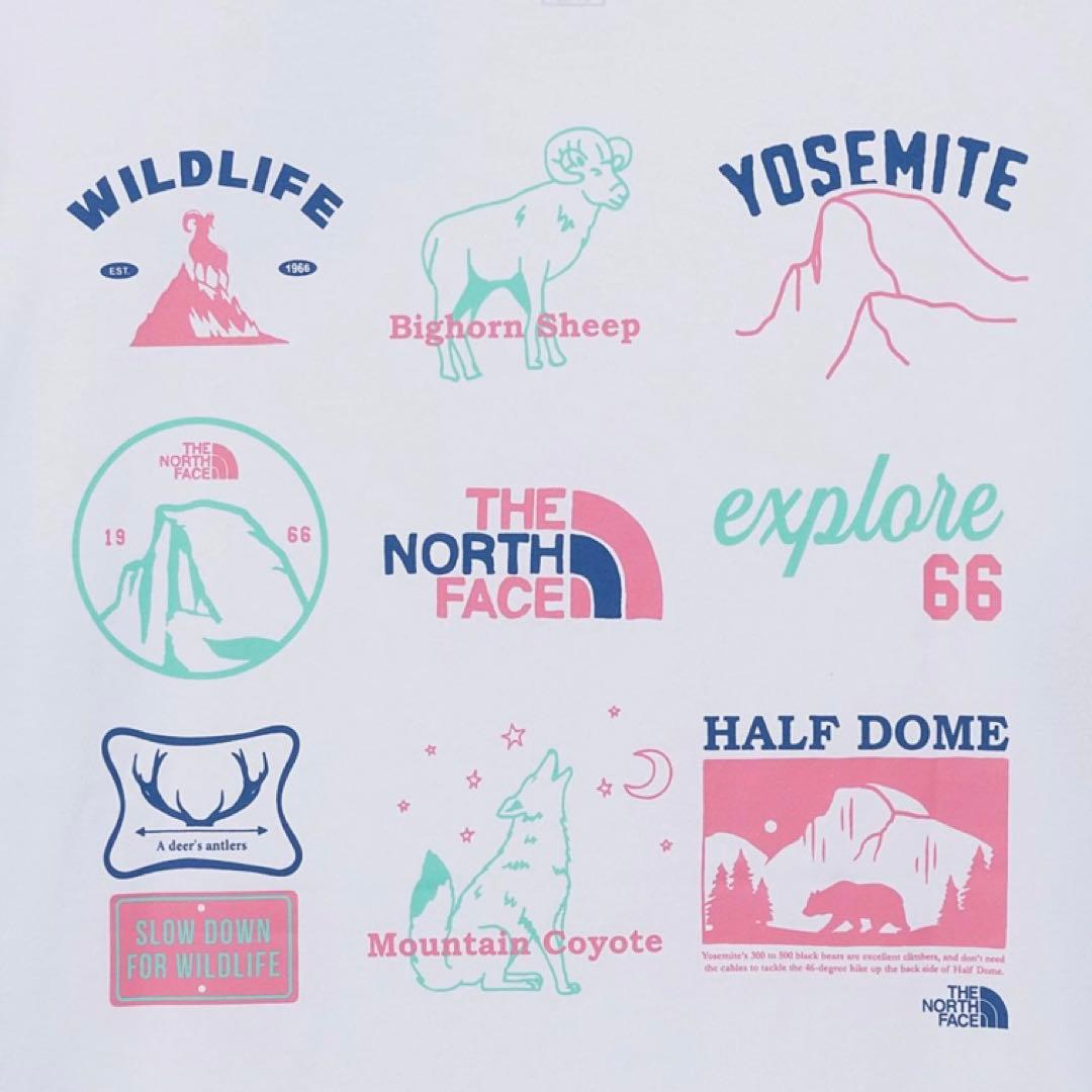 韓国限定☆THE NORTH FACE Tシャツ 半袖 メンズ Lサイズ