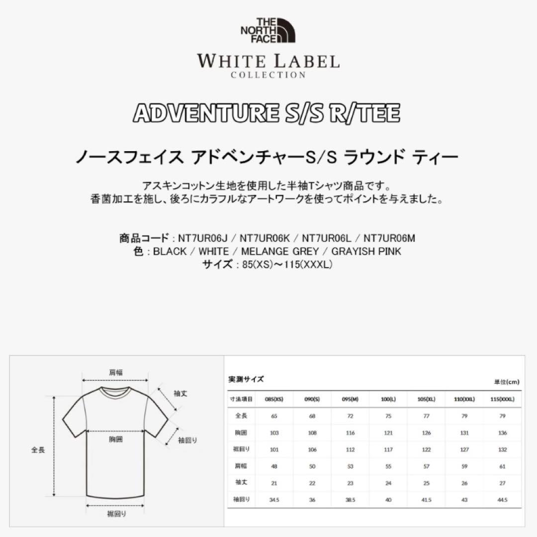 韓国限定☆THE NORTH FACE Tシャツ 半袖 メンズ Lサイズ