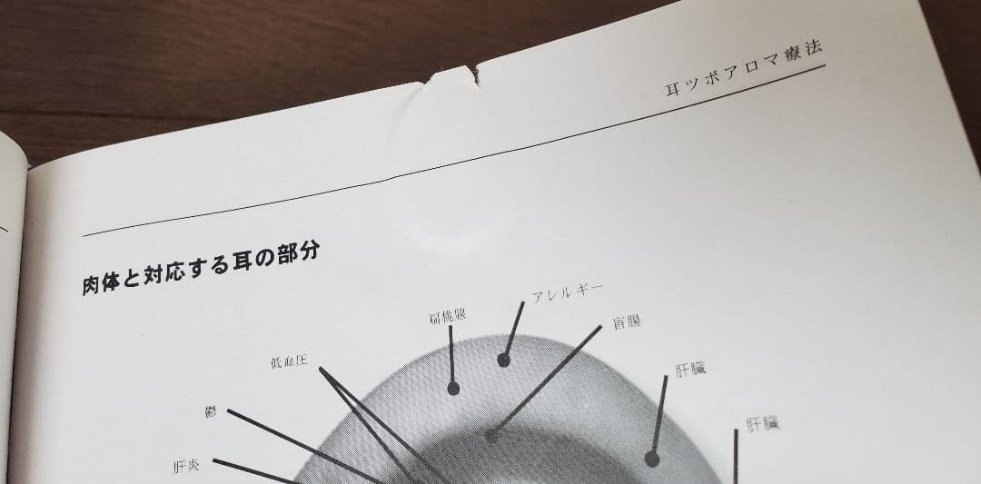 ヤングリヴィング エッセンシャルオイル総合医学ガイド D.ゲリー・ヤング 稀少本