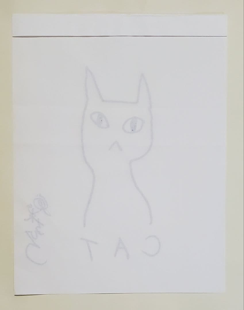 鬼束ちひろ　直筆　サイン　猫のイラストとメッセージ付き　2枚セット　額装品