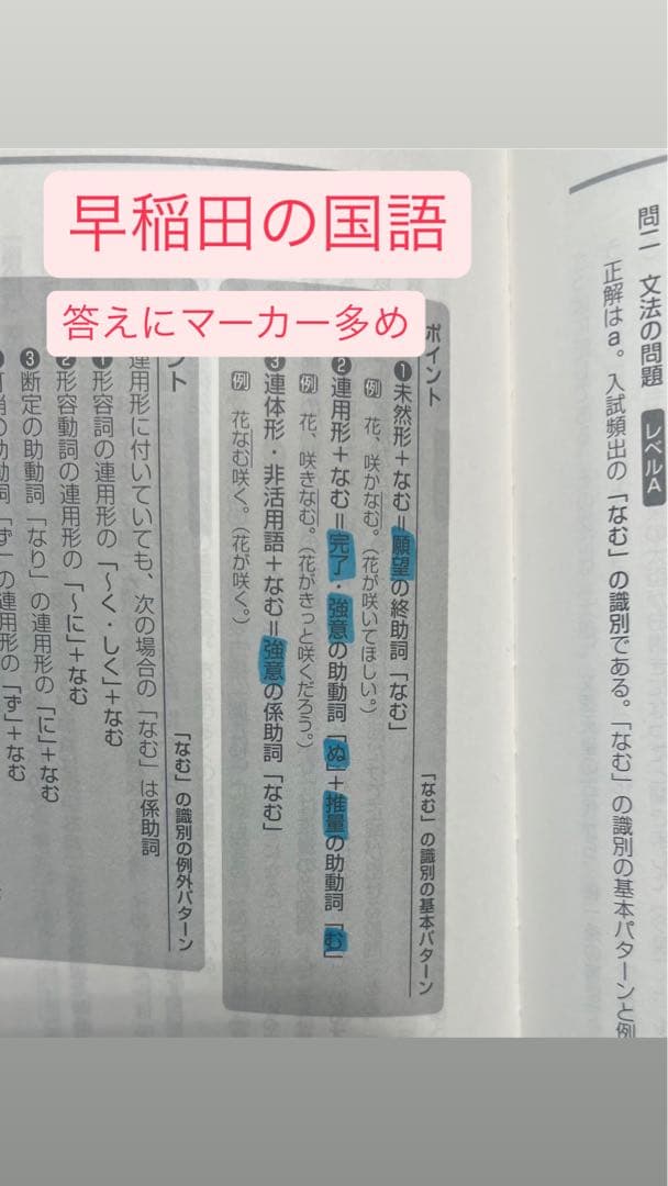 【別売りOK】赤本32冊(GMARCH 早稲田 上智 明治学院 昭和女子 共テ)