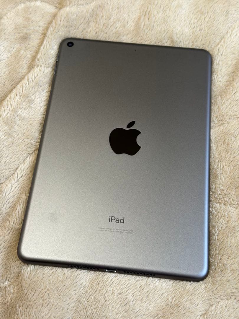 iPad mini 第5世代　スペースグレー 本体 カバー付　 Wi-Fiモデル