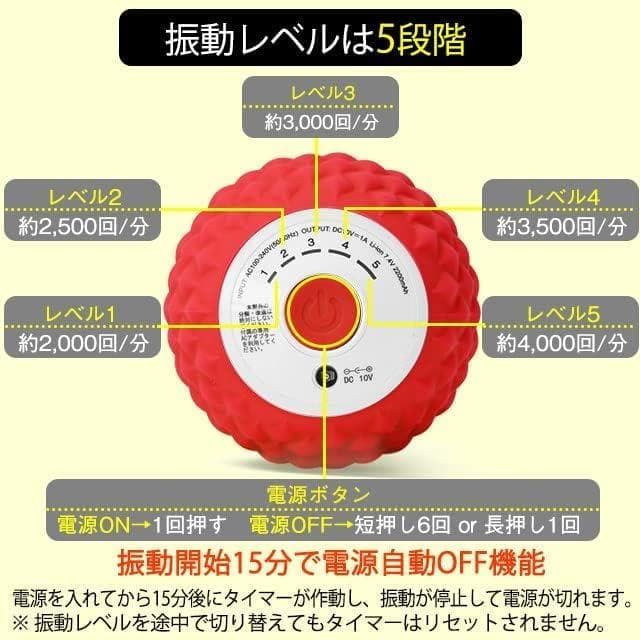 OASIS シェイプツインボール STB-100 ブラック 振動5段階