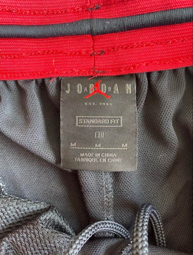 NIKE ジョーダン セットアップ タンクトップ（L） ハーフパンツ（M）
