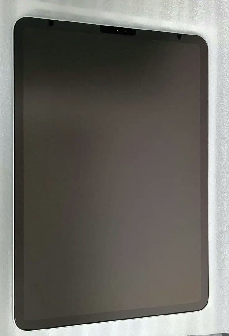 iPad Pro 11インチ 第1世代 Wi-Fi 64GB シルバー
