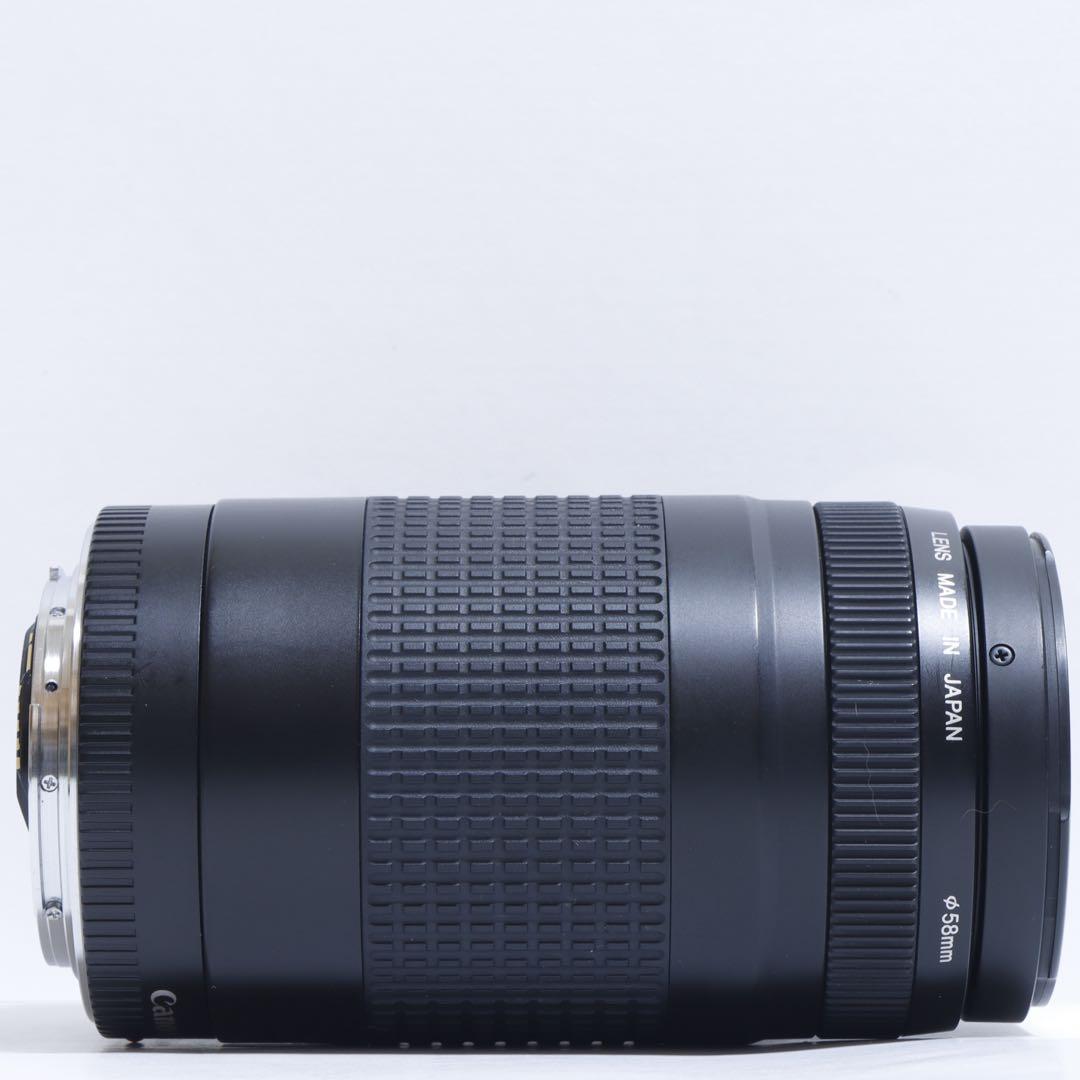 ◇ 大迫力300mm超望遠 ◇Canon純正 75-300mm II型 ◇