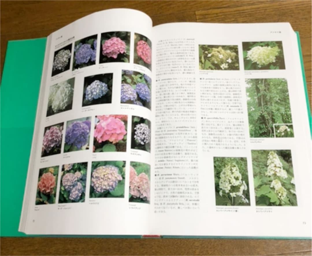 【小学館】植物辞典全6冊