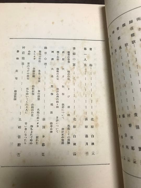 日光　1巻4号　大正13年7月　北原白秋　釋迢空　美品　折口信夫　文芸雑誌 短歌