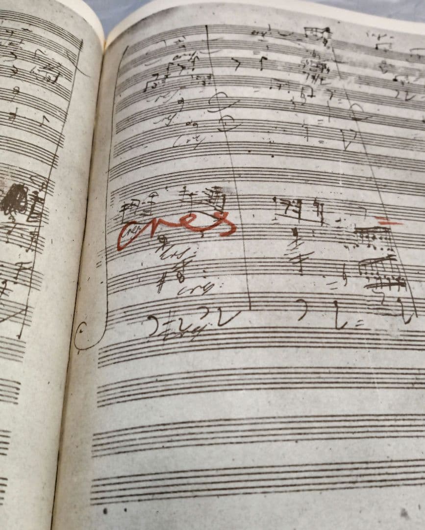 ルートヴィヒ・ヴァン・ベートーヴェン 交響曲第9番 ニ短調 作品125 楽譜