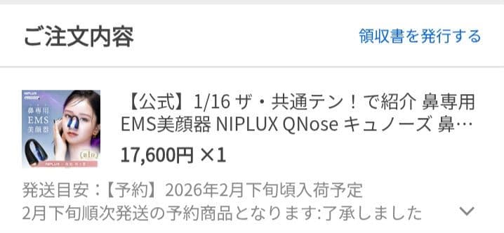 NIPLUX QNose キュノーズ 鼻専用美顔器　【新品・未使用】