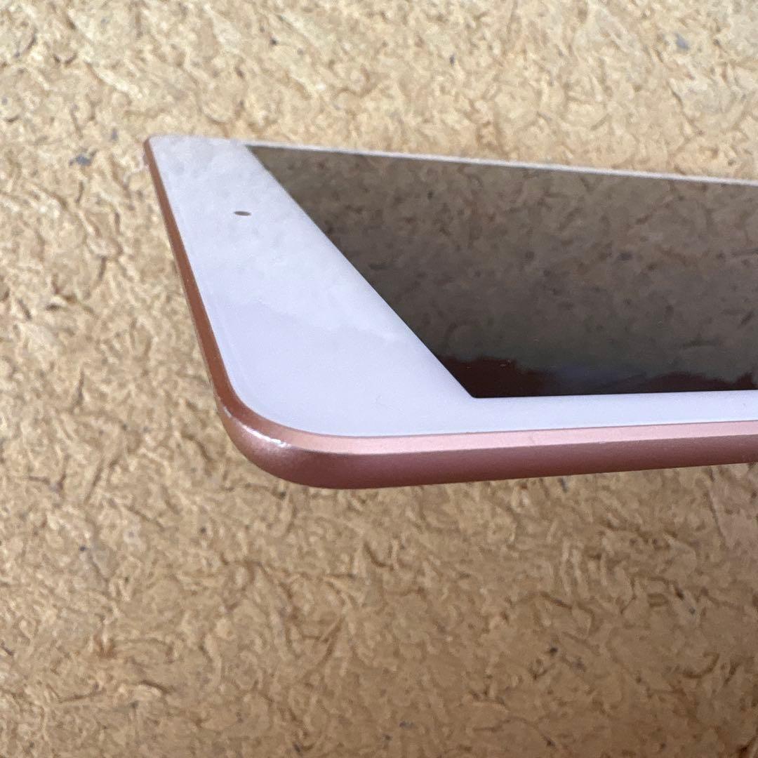 iPadmini 5世代 変換アダプタ付き