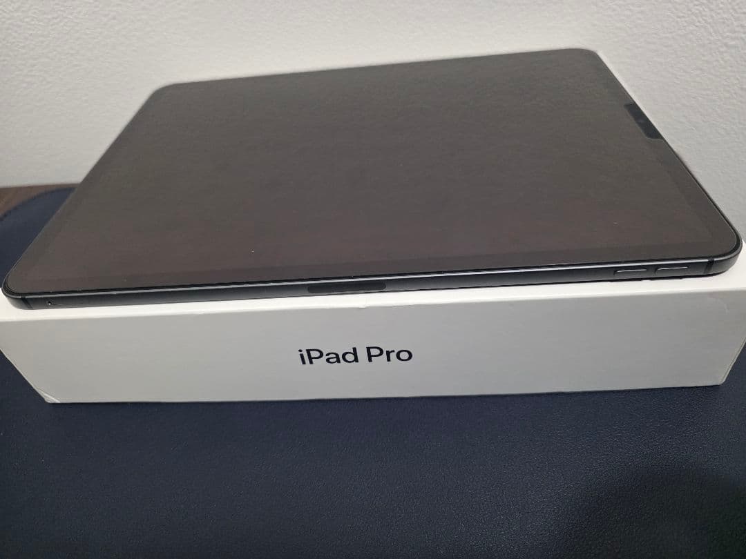【訳有】iPad Pro11インチ第1世代　256GB セルラーモデル