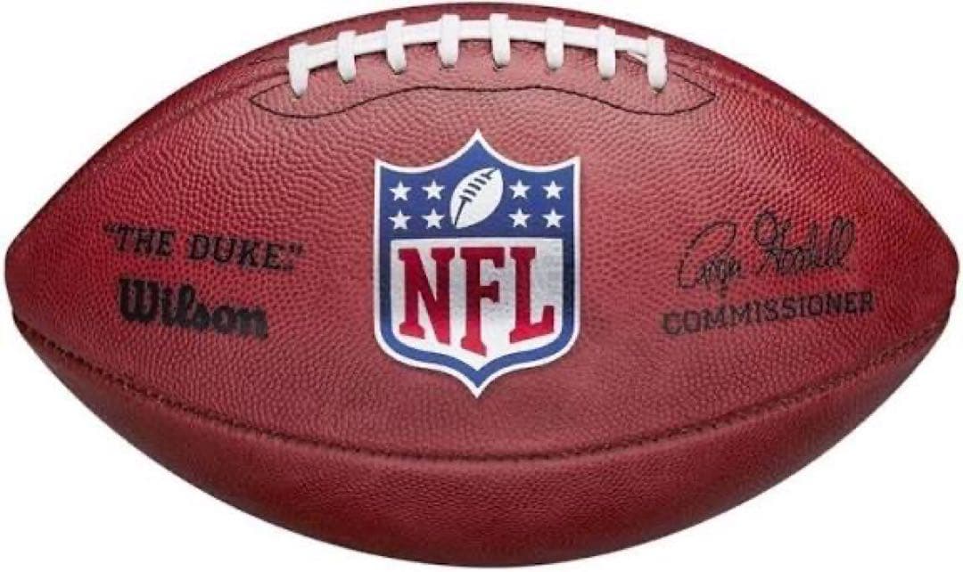 NFL公式ボール THE DUKE Wilson