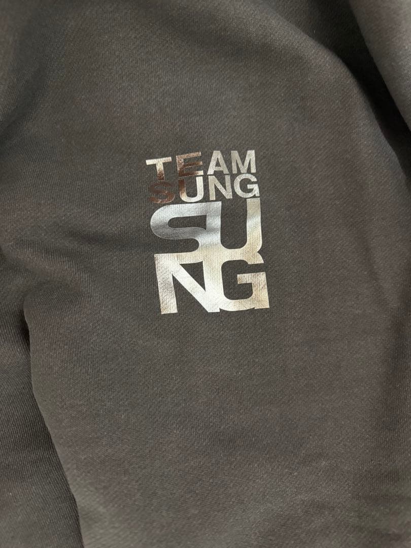 sung1975 TEAM sung Tシャツ
