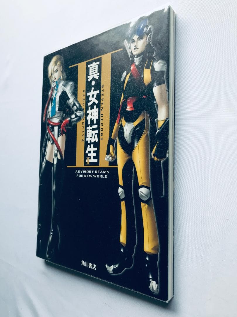 真・女神転生Ⅱ 2 キャラクタープロファイル STEVEN REPORT PS
