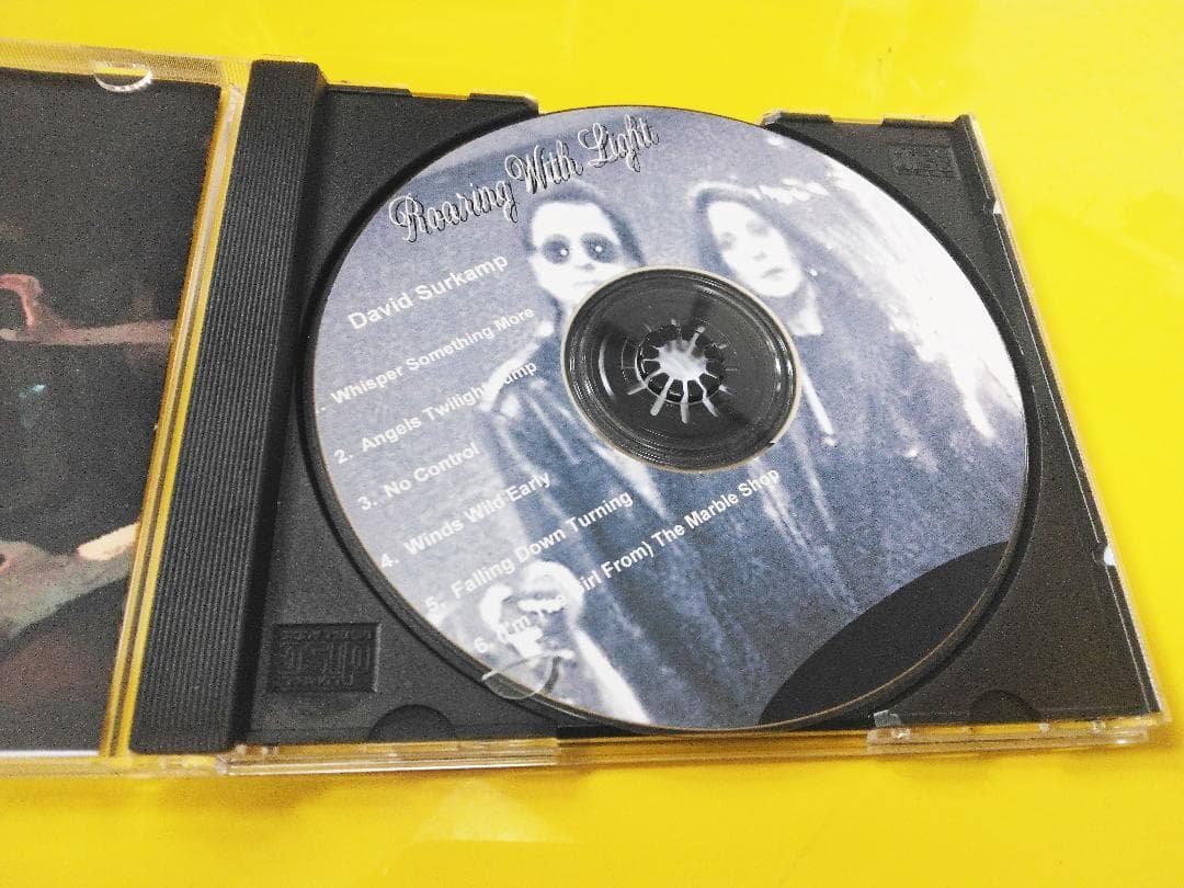 David Surkamp – Roaring With Light