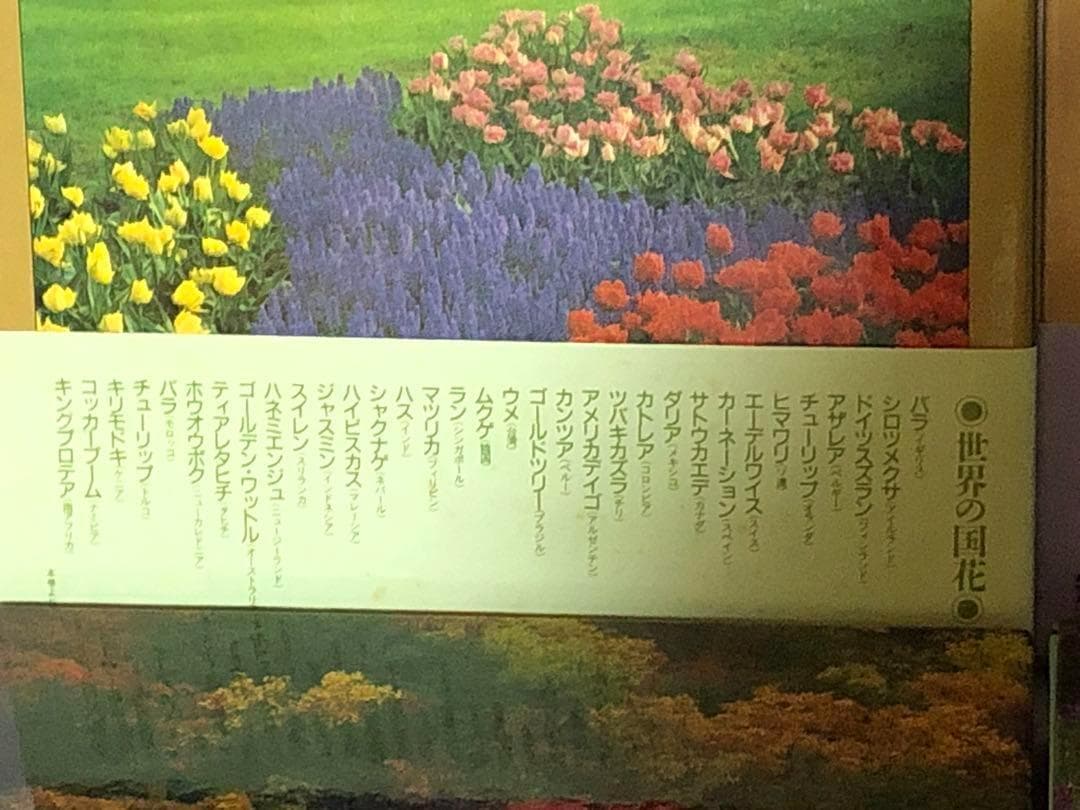 四季花ごよみ　全6冊　講談社　植物図鑑本　別巻　現状品