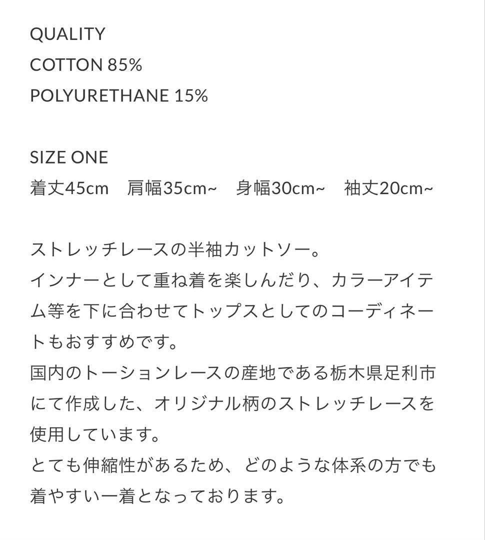 ★早い者勝ち★新品★EUCHRONIA ストレッチレース 半袖Tシャツ