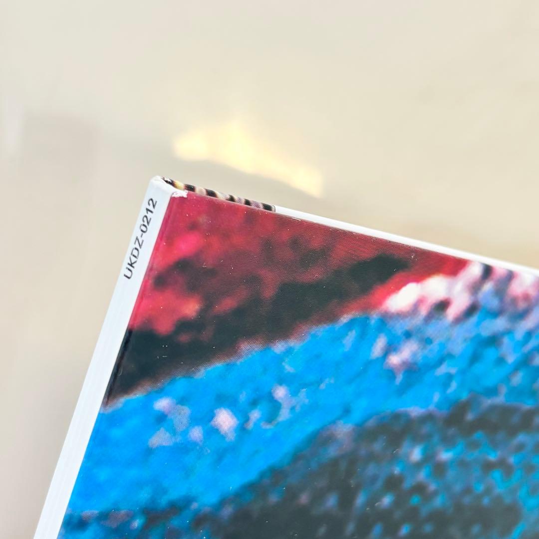 新品 syrup16g COPY LP レコード アナログ盤