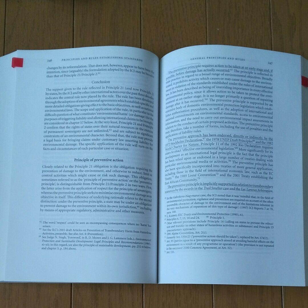 【洋書・専門書】【研究支援】国際環境法の本です