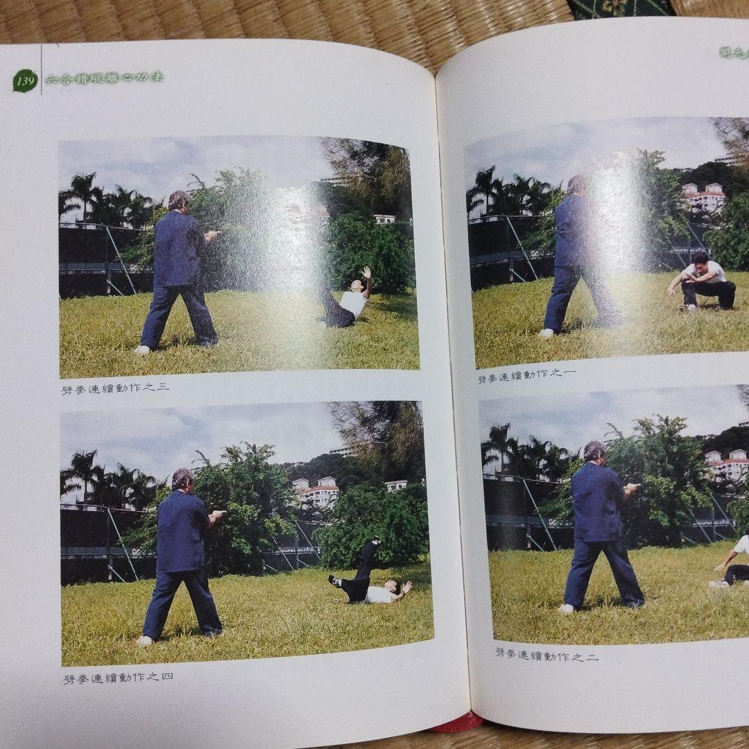 縦横内家武学・開元先天勁拳學・突破拳學奥秘 3冊セット