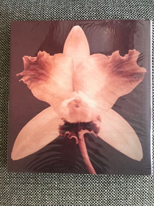 PISTILS Robert Mapplethorpe ロバートメイプルソープ
