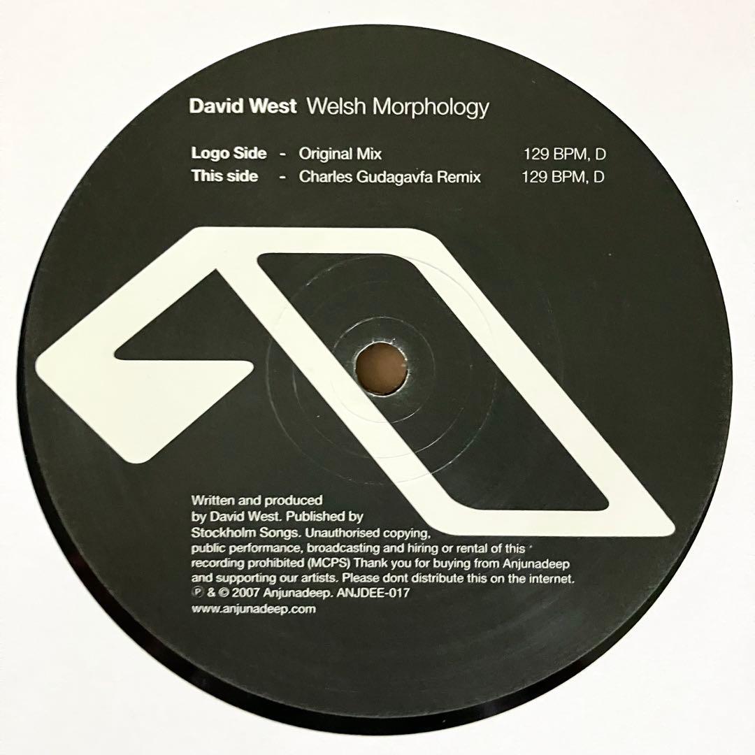 洋楽 David West - Welsh Morphology 12\" ANJUNA