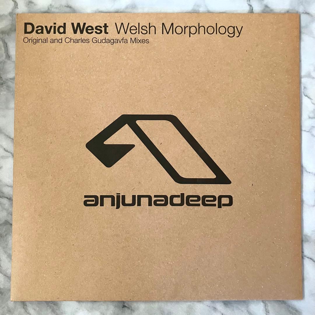 洋楽 David West - Welsh Morphology 12\" ANJUNA